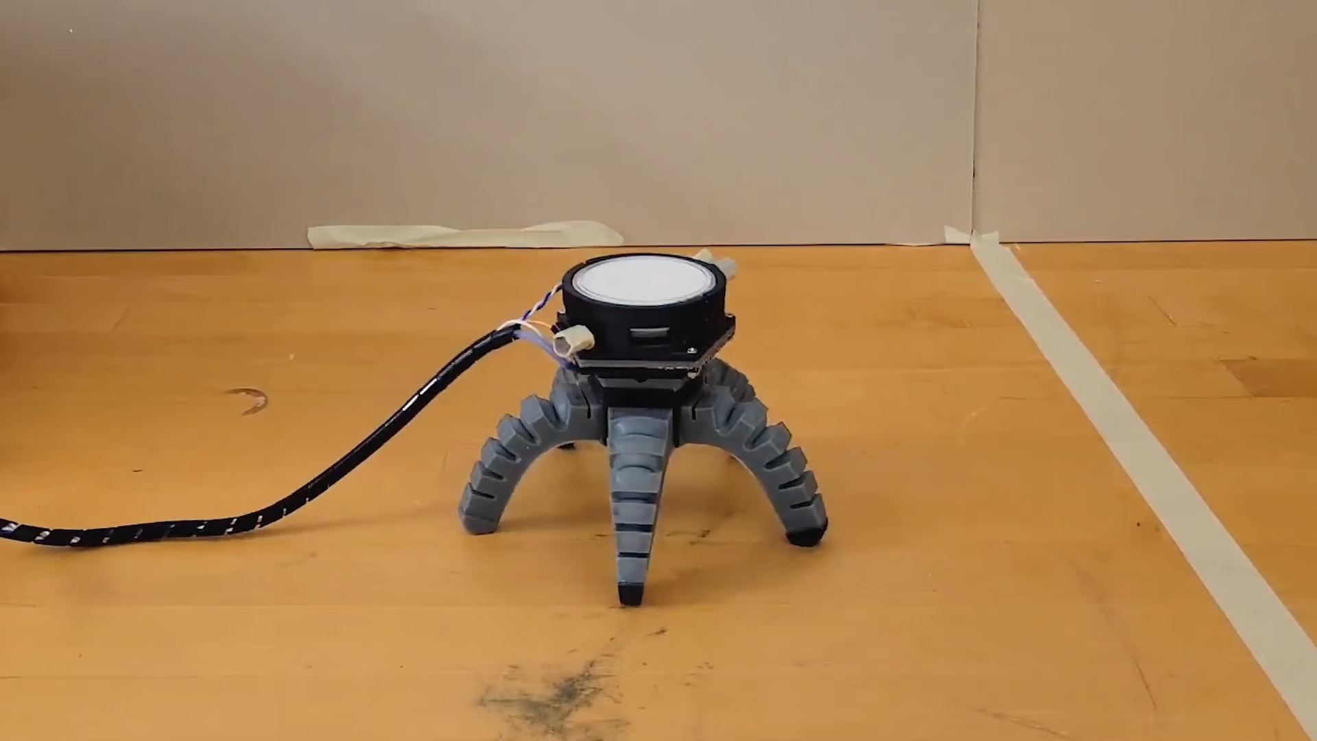 Kráčející robot pilotovaný houbou. Kredit: Cornell University.