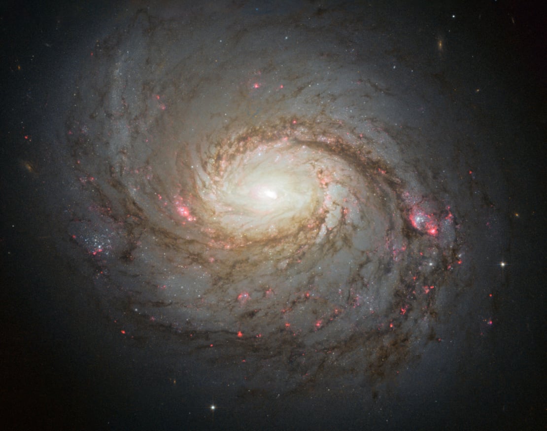 Blízká aktivní galaxie M77 je slibný potenciální zdroj vysokoenergetických neutrin (zdroj NASA/ESA).