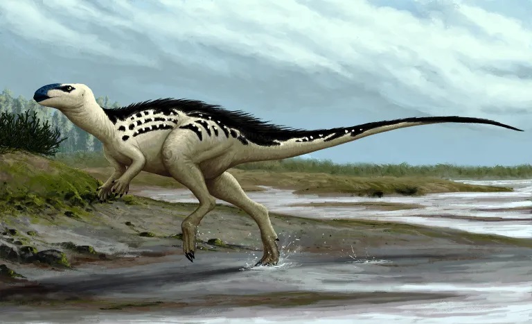 Rekonstrukce možného vzezření dosud jediného pojmenovaného dinosaura z území České republiky, pozdně křídového druhu Burianosaurus augustai. S geologickým stářím asi 95 až 94 milionů let patří k nejmladším fosilním nálezům spadajícím do kladu Dinosau