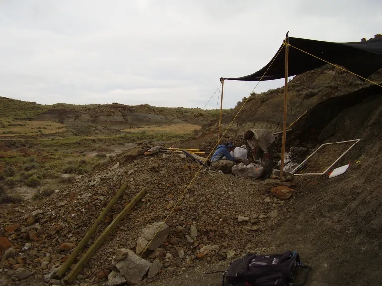 Vykopávky v sedimentech geologického souvrství Hell Creek na jihovýchodě Montany. Kromě početných fosilií dinosaurů zde byly objeveny také vzácnější zkamenělé pozůstatky velkých azhdarchidních pterosaurů. Kredit: Vladimír Socha, 2009.