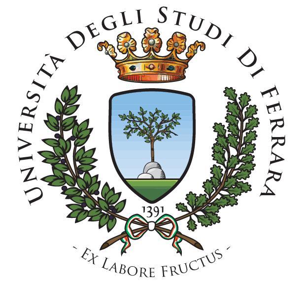 Logo. Kredit: Universit? degli Studi di Ferrara.