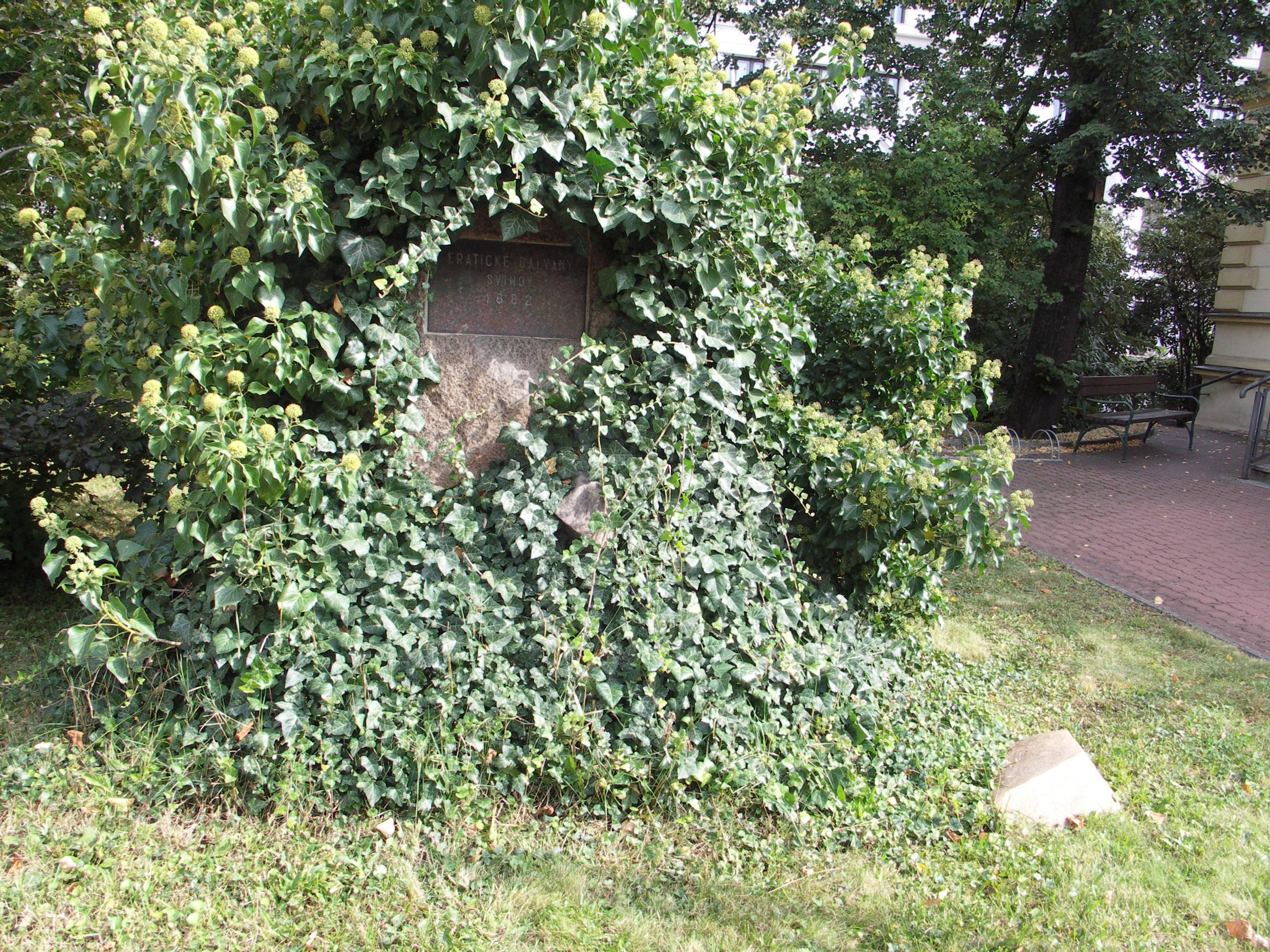 Hromada balvanů, v níž jsou 4 bludné balvany přivezené do Brna v roce 1882. Geopark v areálu Přírodovědecké fakulty Masarykovy univerzity v Brně na ulici Kotlářská 2. Foto: A. Uhlíř, 2021.