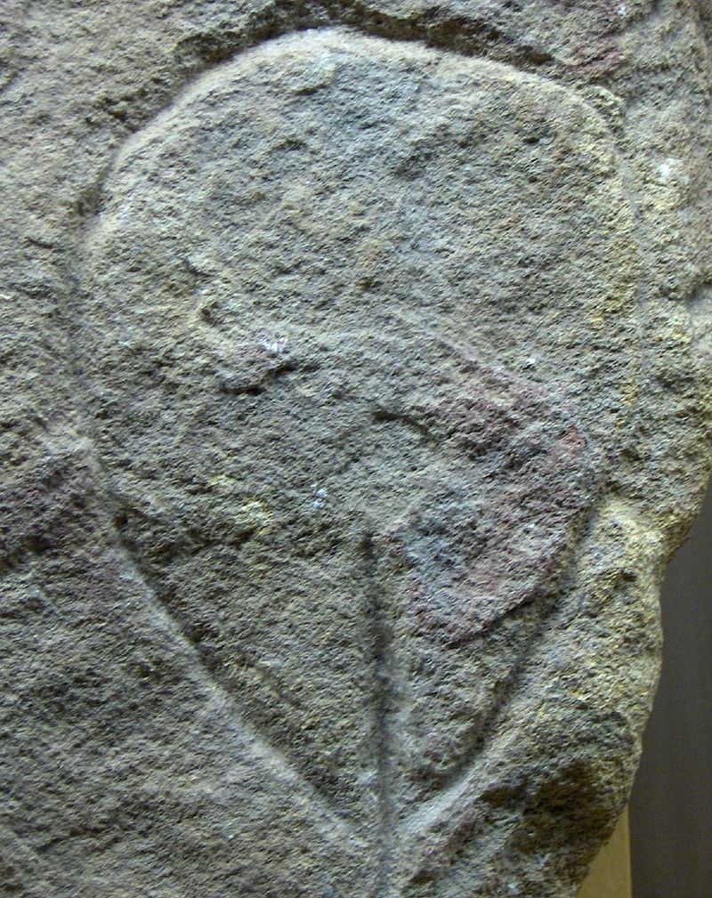 Paleolitický petroglyf vulvy. Kredit: Calame, Wikipedia, CC BY-SA 3.0