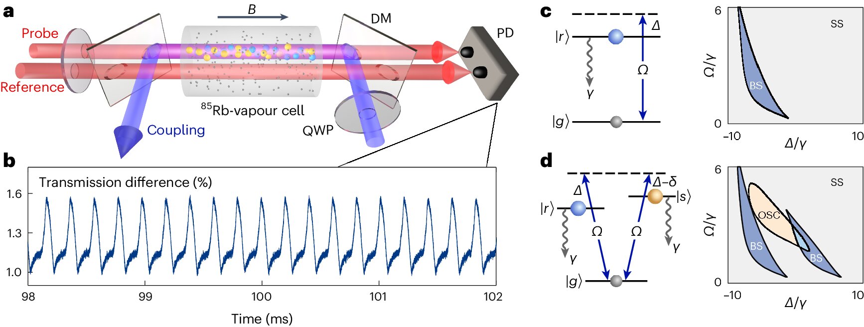 Experiment s časovými krystaly z Rydberových atomů. Kredit: Wu et al. (2024), Nature Physics.