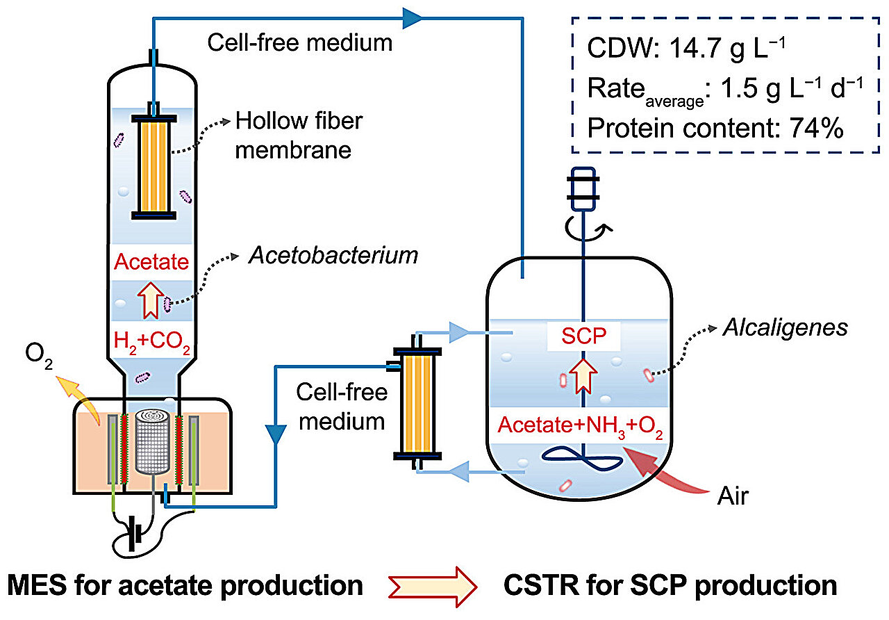 Schéma bioreaktoru. Kredit: Pan et al. (2025), Environmental Science and Ecotechnology.