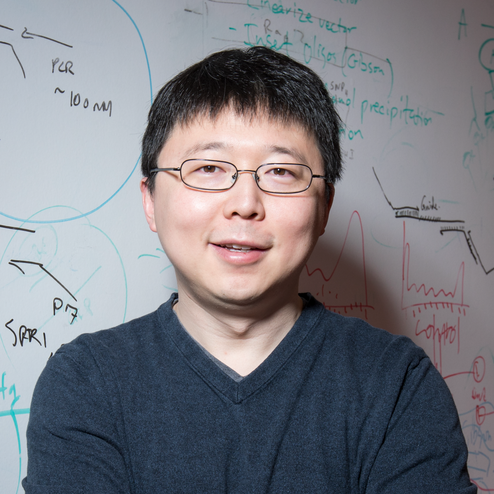 Feng Zhang, Howard Hughes Medical Institute, Massachusetts Institute of Technology, Cambridge. Kredit: hhmi.