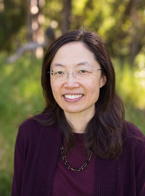 Irene A. Chen, vedoucí týmu na University of California. Kredit: UCLA