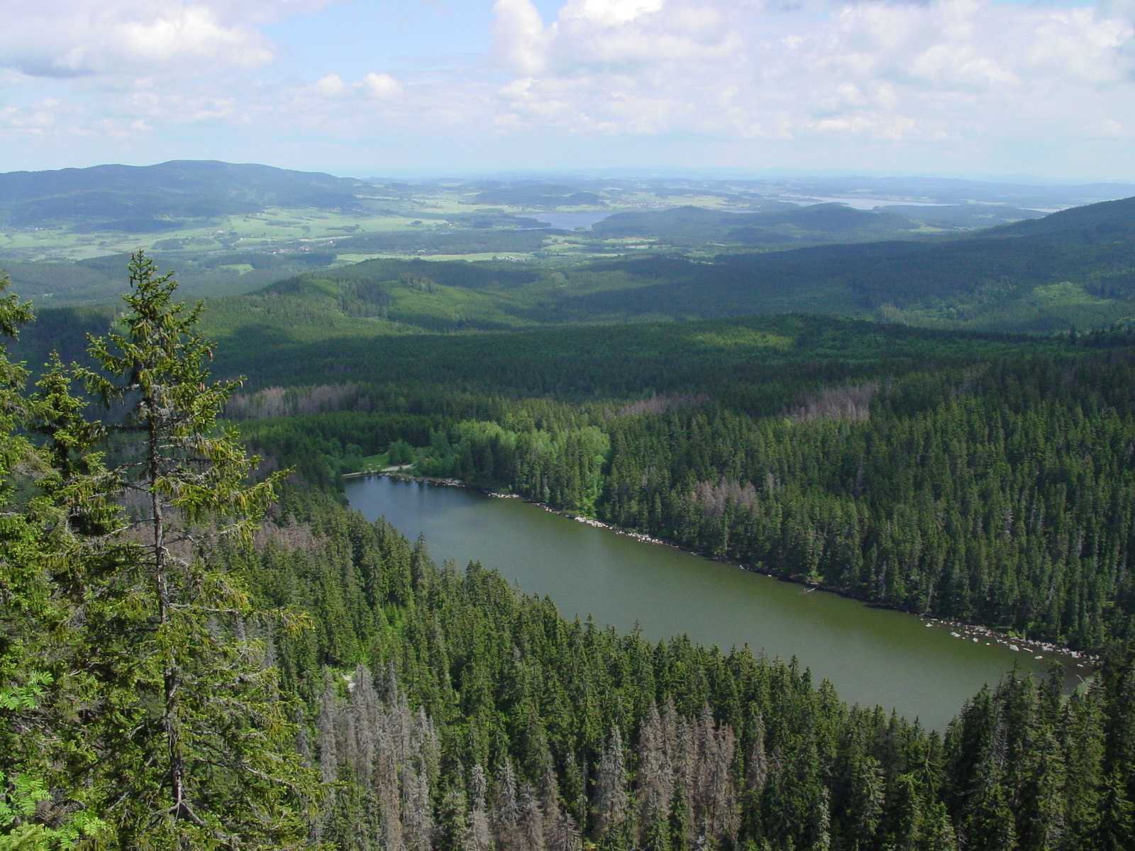 Národní park Šumava, je chráněnou lokalitou od roku 1963. Podobně jako na většině chráněných území, i zde se divoká prasata přemnožují a jejich počet je regulován odstřelem. Na obrázku je Plešné jezero, jedno ze tří ledovcových jezer v NP. Kredit: Vo