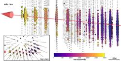 Záznam případu 170922A detekce neutrina observatoří IceCube, který přišel ze směru blazaru TXS 0506+056. Tmavé barvy znamenají dřívější čas detekce čerenkova světla, světlé pozdější, velikost koule znamená intenzitu světla (Zdroj: Science 361(1918)eaat1378).