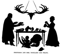 Siluety profesora Bucklanda, jeho ženy Mary (talentované kreslířky) a syna Franka, který po otci zdědil nezkrotitelnou chuť na maso všeho druhu. Kredit: Mary Buckland, née Morland (1797-1857); Wikipedia (volné dílo)