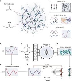 Chemický rezervoárový počítač s Butlerovou reakcí. Kredit: Baltussen et al. (2024), Nature.