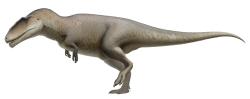 Obří karcharodontosauridní teropod druhu Carcharodontosaurus saharicus získal svoje rodové jméno v roce 1931. Kredit: Fred Wierum; Wikipedia (CC BY-SA 4.0)