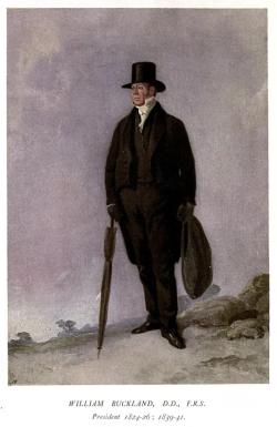 Portrét Williama Bucklanda od britského akademického malíře Richarda Ansdella, známého pro časté znázorňování zvířat, krajin a různých žánrových scén. Kredit: Richard Ansdell; Wikipedia (volné dílo)