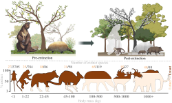 Krušný osud megafauny. Kredit: Svenning et al. (2024), Cambridge Prisms: Extinction, Vol. 2