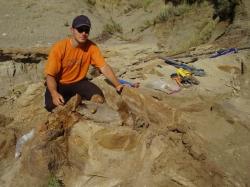 Autor článku na lokalitě se sedimenty geologického souvrství Hell Creek na území východní Montany. Právě v horninách této geologické formace můžeme sledovat nejúplnější verzi děsivého příběhu, který se odehrál před 66 miliony let. Kredit: Vladimír Socha (2009).