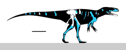 William Buckland se stal pomyslně nesmrtelným vědcem zejména díky pojmenování prvního vědecky rozeznaného dinosaura, kterým je jurský teropod Megalosaurus bucklandii. Na obrázku je vidět dosud známý kosterní materiál megalosaura, přičemž fosilie lektotypu a paralektotypu jsou znázorněny bíle. Kredit: Slate Weasel; Wikipedia (CC BY-SA 4.0)