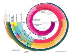 Škála geologického času, zobrazující dobu od vzniku planety Země před zhruba 4,56 milardy let. Proti této extrémně dlouhé době je dokonce i 66 milionů let kenozické éry jen velmi krátkým obdobím, představujícím přibližně sedminu její délky. Kredit: Jarred C Lloyd; Wikipedia (CC BY 4.0)