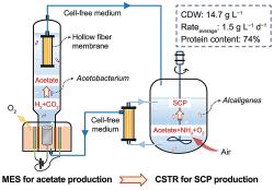 Schéma bioreaktoru. Kredit: Pan et al. (2025), Environmental Science and Ecotechnology.