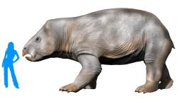 Obří dicynodont Lisowicia bojani má velikost srovnatelnou s asijským slonem. Kredit: Nobu Tamura, Wikipedia, CC BY-SA 4.0