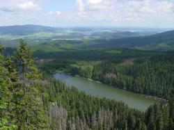 Národní park Šumava, je chráněnou lokalitou od roku 1963. Podobně jako na většině chráněných území, i zde se divoká prasata přemnožují a jejich počet je regulován odstřelem. Na obrázku je Plešné jezero, jedno ze tří ledovcových jezer v NP. Kredit: Volné dílo.