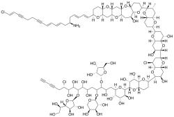 Prymnesin-1. Kredit: Charlesy, Wikimedia Commons.