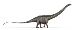 Výtvarná rekonstrukce přibližného vzezření obřího diplodokidního sauropoda druhu Supersaurus vivianae. S odhadovanou délkou až kolem 40 metrů představuje tento pozdně jurský obr jednoho z nejdelších známých obratlovců všech dob. Byl ale také jedním z nejstarších? Kredit: LadyofHats; Wikipedia (volné dílo).