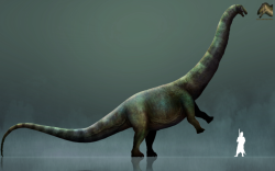 Obrovský diplodokidní sauropod druhu Supersaurus vivianae dosahoval délky i přes 40 metrů. Stejně jako další obří sauropodi patrně spořádal víc než půl tuny rostlinné potravy denně. Stádo takových obrů mohlo každý den „obohatit“ své ekosystémy o mnoho tun čerstvých fekálií. Zde dospělý jedinec supersaura ve spekulativní tělesné pozici – vztyčení se na zadních končetinách. Kredit: Stegotyranno; Wikipedia (CC BY-SA 4.0).