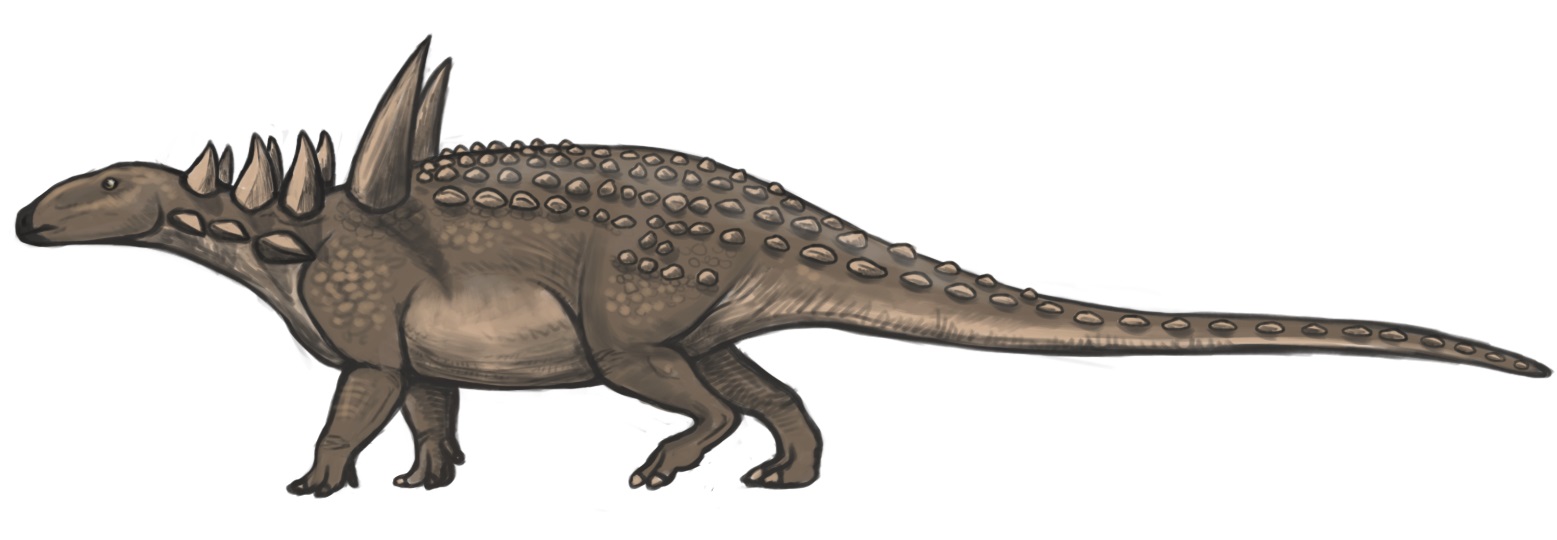 Výtvarná rekonstrukce druhu Sauropelta edwardsorum, možná vývojově blízce příbuzného druhu k rodu Priconodon. Pokud ale prikonodonti dorůstali obřích rozměrů, jejich pohybový aparát musel doznat jistých funkčních a morfologických změn (podobných těm,