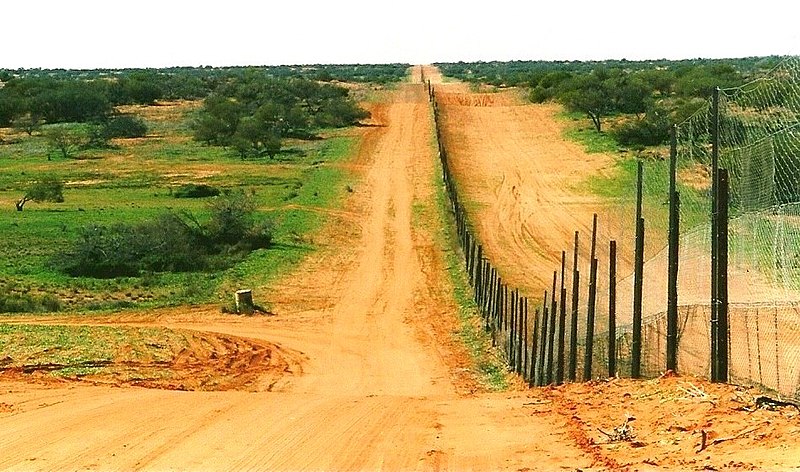 Plot proti dingům u Stuartova národního parku. Kredit: Poyt448 Peter Woodard / Wikimedia Commons.