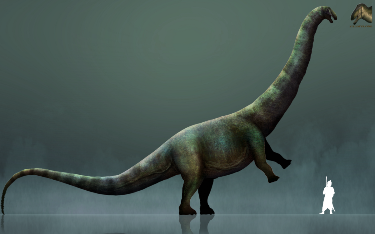 Obrovský diplodokidní sauropod druhu Supersaurus vivianae dosahoval délky i přes 40 metrů. Stejně jako další obří sauropodi patrně spořádal víc než půl tuny rostlinné potravy denně. Stádo takových obrů mohlo každý den „obohatit“ své ekosystémy o mnoh